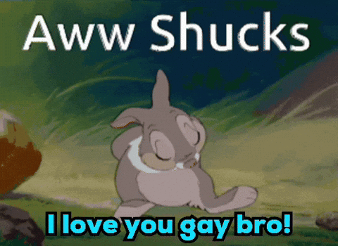 A Cartoon Of A Rabbit With The Words Aww Shucks I Love You Gay Bro GIF