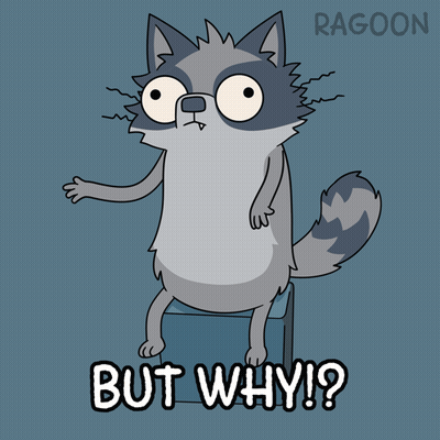 A Cartoon Of A Raccoon With The Words But Why Written Below It GIF