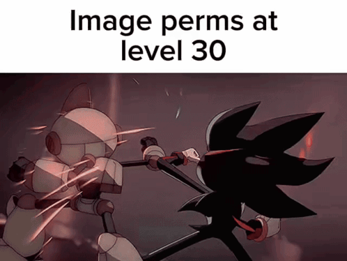 A Cartoon Of A Robot Fighting Another Robot With The Words Image Perms At Level 30 GIF