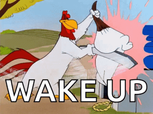 A Cartoon Of A Rooster Fighting Another Rooster With The Words Wake Up In The Corner GIF