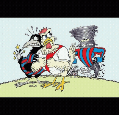 A Cartoon Of A Rooster Standing Next To A Tornado That Says " Me De Pisteur Mondial " On It GIF