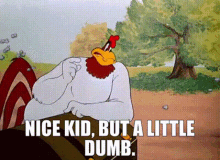 A Cartoon Of A Rooster With The Words Nice Kid But A Little Dumb GIF