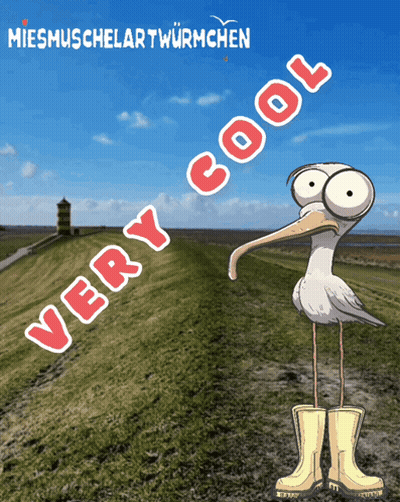 A Cartoon Of A Seagull Wearing Rubber Boots With The Words " Very Cool " Below It GIF