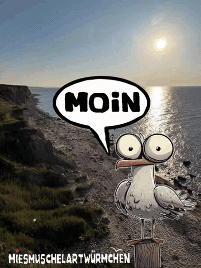A Cartoon Of A Seagull With A Speech Bubble That Says " Moin " GIF