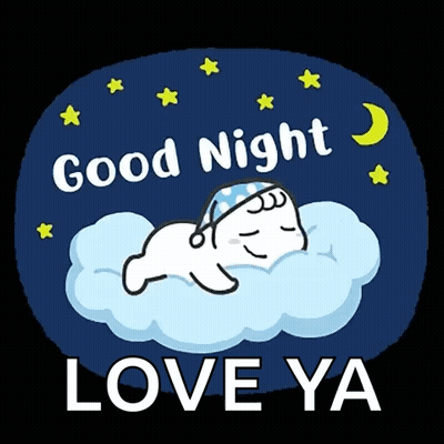 A Cartoon Of A Seal Sleeping On A Cloud With The Words Good Night Love Ya Below It GIF