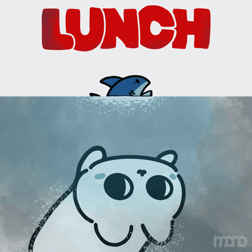 A Cartoon Of A Shark And A Cat With The Word Lunch Above Them GIF