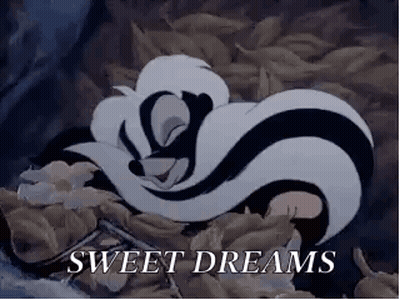A Cartoon Of A Skunk Sleeping In A Pile Of Leaves With The Words `` Sweet Dreams '' . GIF