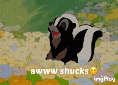 A Cartoon Of A Skunk With The Words Awww Shucks Behind Him GIF