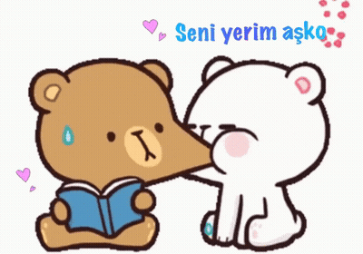 A Cartoon Of A Teddy Bear Kissing Another Teddy Bear With The Words Seni Yerim Asko Above Them GIF