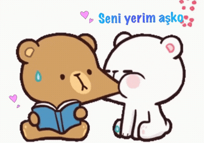 A Cartoon Of A Teddy Bear Reading A Book Next To Another Teddy Bear With The Words Seni Yerim Ask On The Bottom GIF