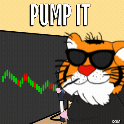 A Cartoon Of A Tiger Wearing Sunglasses With The Words Pump It Written Above It GIF