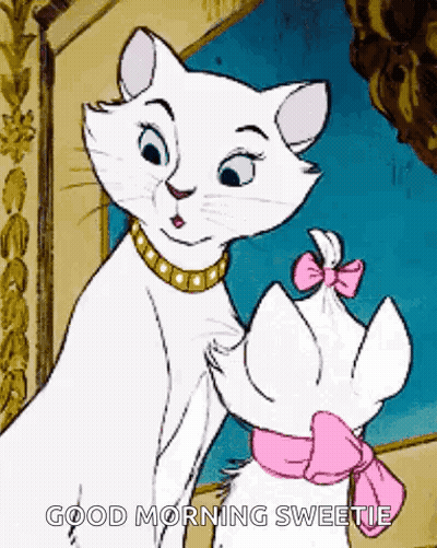 A Cartoon Of A White Cat With A Pink Bow And The Words `` Good Morning Sweetie '' Below It . GIF