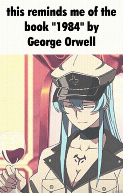 A Cartoon Of A Woman Holding A Glass Of Wine With The Caption " This Reminds Me Of The Book 1984 " By George Orwell GIF