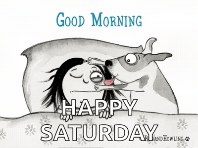 A Cartoon Of A Woman Laying In Bed With A Dog And The Words " Good Morning Happy Saturday " GIF