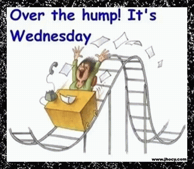 A Cartoon Of A Woman Riding A Roller Coaster With The Words Over The Hump It 'S Wednesday GIF