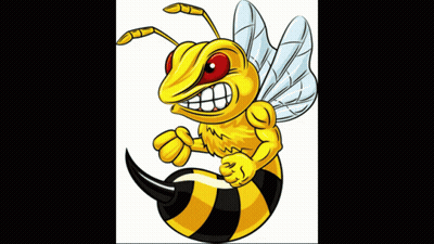 A Cartoon Of An Angry Bee With A Long Black Tail GIF
