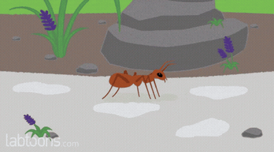 A Cartoon Of An Ant With Tabtoons.com On The Bottom GIF