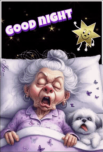 A Cartoon Of An Elderly Woman Sleeping Next To A Small White Dog With The Words Good Night Written Above Her GIF