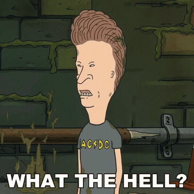 A Cartoon Of Beavis From Beavis And Butthead Says " What The Hell " GIF