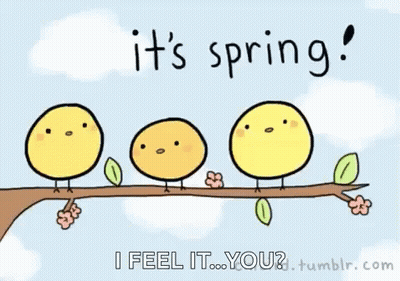 A Cartoon Of Birds On A Tree Branch With The Words It 'S Spring I Feel It You GIF