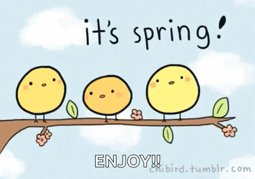 A Cartoon Of Birds Sitting On A Branch With The Words It 'S Spring Enjoy GIF