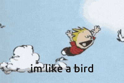 A Cartoon Of Calvin And Hobbes Flying Through The Air GIF