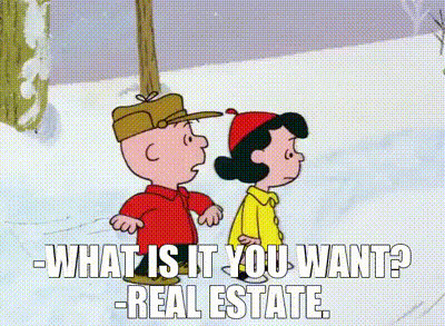 A Cartoon Of Charlie Brown And Lucy Brown Standing In The Snow Talking To Each Other . GIF