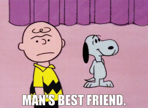 A Cartoon Of Charlie Brown And Snoopy With The Words Man 'S Best Friend Below Them GIF