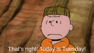 A Cartoon Of Charlie Brown Says " That 'S Right Today Is Tuesday " GIF