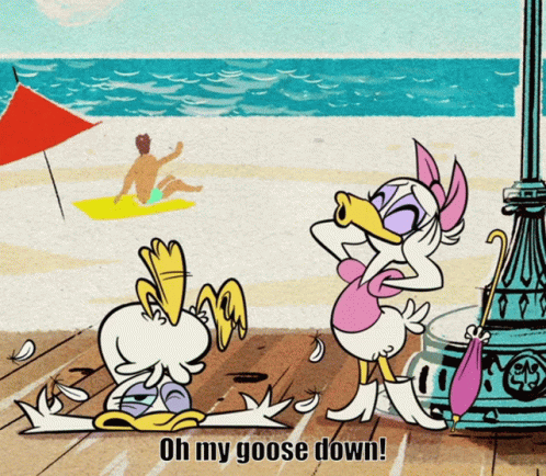 A Cartoon Of Donald Duck And Daisy Duck Saying Oh My Goose Down On A Beach GIF