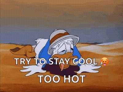 A Cartoon Of Donald Duck Laying On The Ground With The Words " Try To Stay Cool Too Hot " GIF