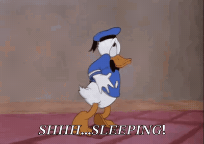 A Cartoon Of Donald Duck Saying " Shhh... Sleeping " GIF