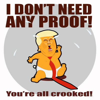 A Cartoon Of Donald Trump With The Words " I Don 'T Need Any Proof You 'Re All Crooked " Below Him GIF