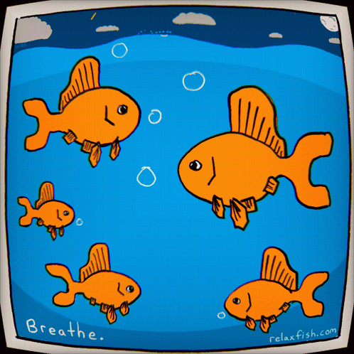 A Cartoon Of Goldfish Swimming In A Tank With The Words Breathe Below Them GIF