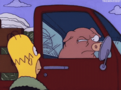 A Cartoon Of Homer Simpson And A Pig In A Car GIF