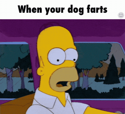 A Cartoon Of Homer Simpson Driving A Car With The Words When Your Dog Farts Above Him GIF