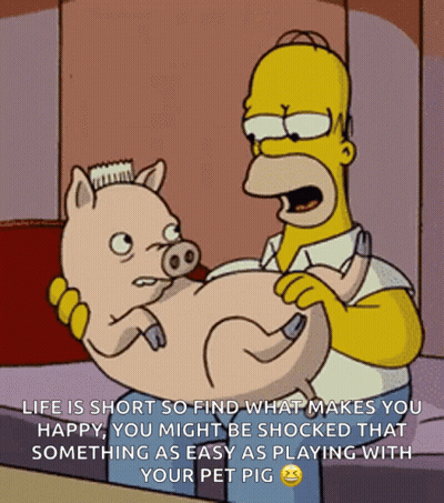 A Cartoon Of Homer Simpson Holding A Pig With A Caption That Says Life Is Short So Find What Makes You Happy GIF