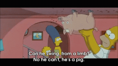 A Cartoon Of Homer Simpson Holding A Pig With The Words " Can He Swing From A Limb " Below It GIF