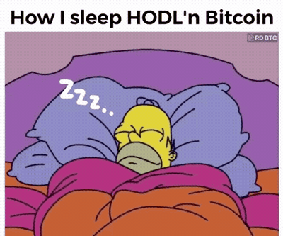 A Cartoon Of Homer Simpson Sleeping With The Words " How I Sleep Hodl 'N Bitcoin " Above Him GIF