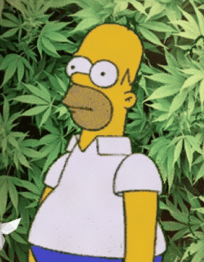 A Cartoon Of Homer Simpson Standing In Front Of Some Marijuana Leaves GIF