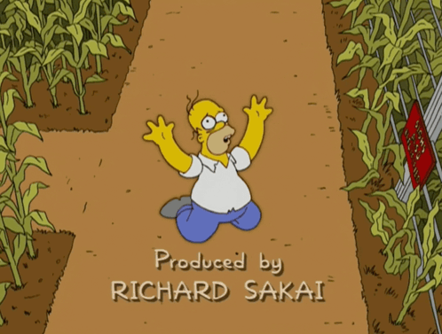 A Cartoon Of Homer Simpson With The Words How Come Things That Happen To Stupid People Produced By Richard Sakai On The  GIF