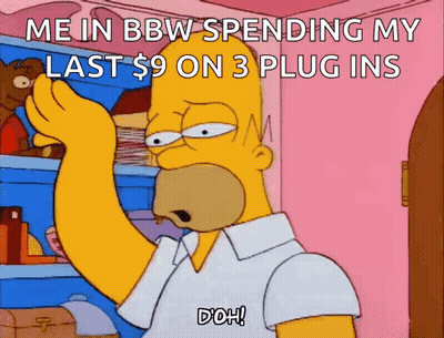 A Cartoon Of Homer Simpson With The Words Me In Bbw Spending My Last $ 9 On 3 Plug Ins GIF