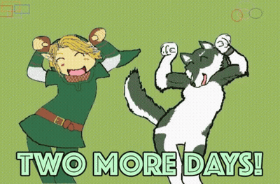 A Cartoon Of Link And A Cat With The Words Two More Days Written Below Them GIF