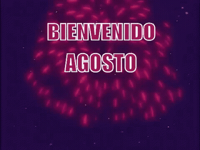 A Cartoon Of Lisa Simpson Watching Fireworks With The Words Bienvenido Agosto GIF