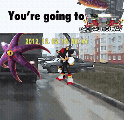 A Cartoon Of Shadow The Hedgehog And An Octopus With The Words You 'Re Going To Radical Highway GIF