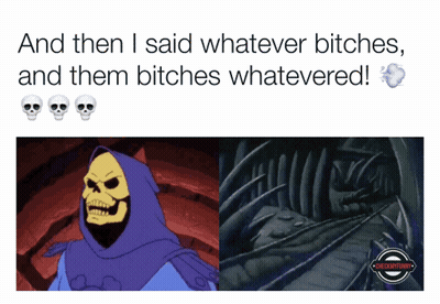 A Cartoon Of Skeletor With The Words And Then I Said Whatever Bitches And Them Bitches Whatevered Below Him GIF
