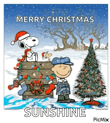 A Cartoon Of Snoopy And Charlie Brown Standing Next To A Christmas Tree . GIF