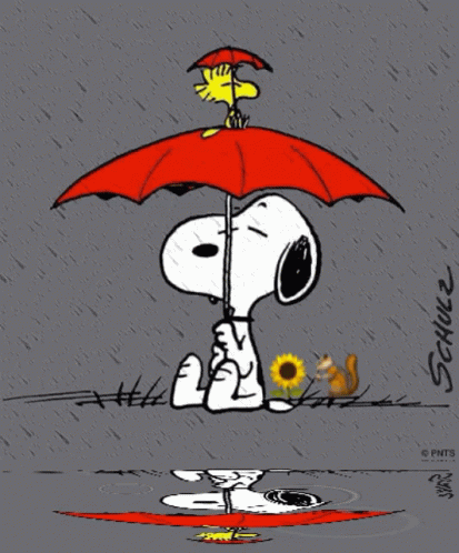 A Cartoon Of Snoopy And Woodstock Holding An Umbrella In The Rain By Schulz GIF