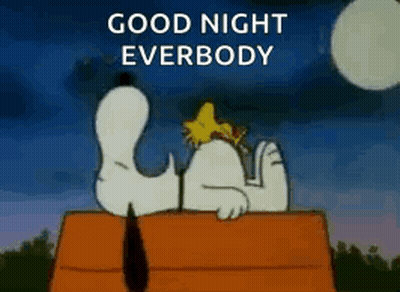 A Cartoon Of Snoopy And Woodstock Laying On Top Of A Doghouse With The Words `` Good Night Everbody '' . GIF