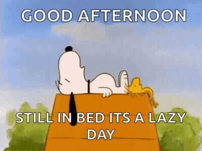 A Cartoon Of Snoopy And Woodstock Saying Good Afternoon GIF